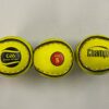 GAA OFFICIAL SIZE 5 FLOURESCENT SLIOTAR (DOZEN)