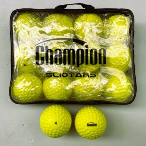 Champion Wall Ball (Size 4 - Dozen) - YELLOW